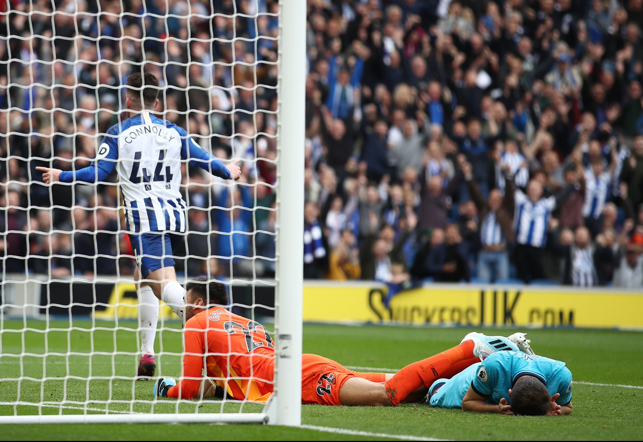 班牙教头瓜 班牙教头瓜